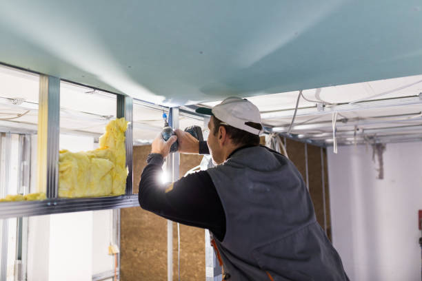 Best Blown-in Insulation in La Porte City, IA