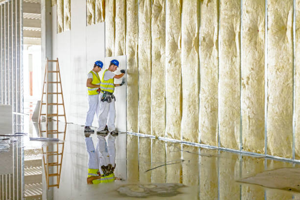 Best Residential Insulation in La Porte City, IA